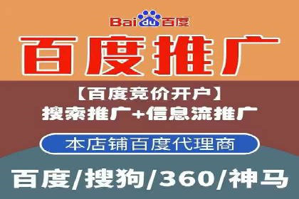 SEM公司成功案例分享：搜索引擎优化的力量